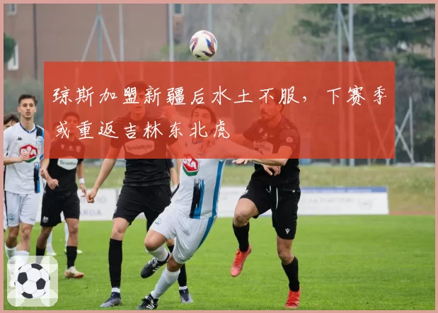 琼斯加盟新疆后水土不服，下赛季或重返吉林东北虎