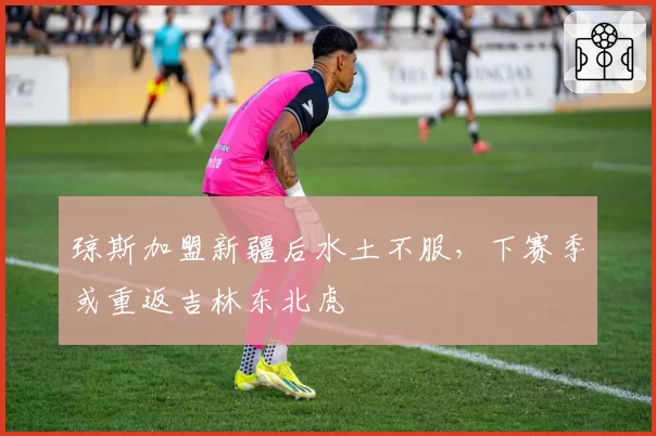 琼斯加盟新疆后水土不服，下赛季或重返吉林东北虎
